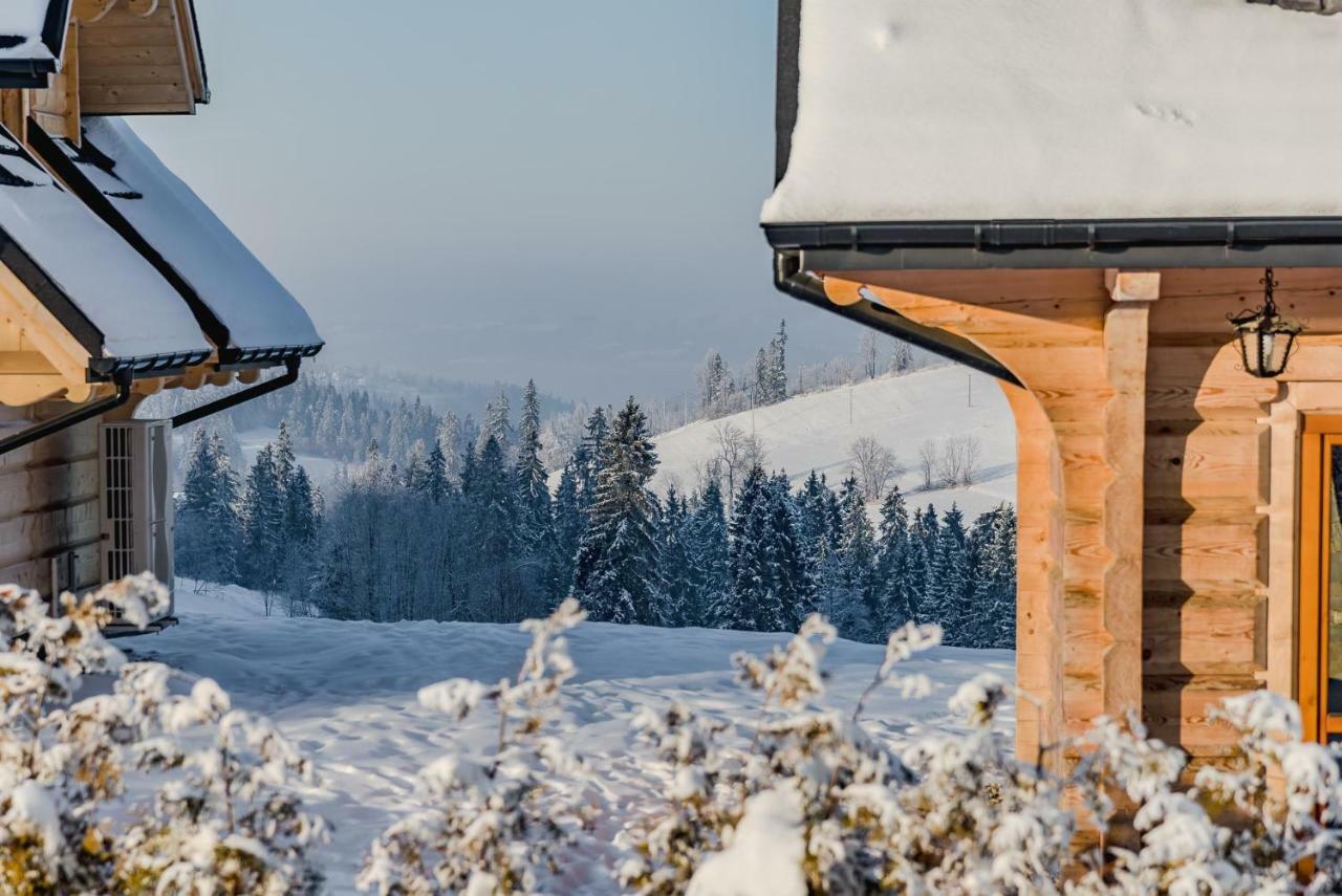 Gliczarów Dziadkowkaヴィラ エクステリア 写真